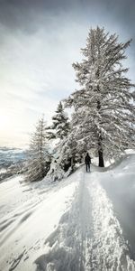 Winter,Trees,Snow,Miscellanea,Miscellaneous,Person,Loneliness,Human