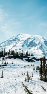 Winter,Trees,Snow,Mountain,Nature,Landscape