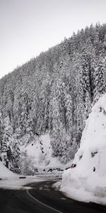 Winter,Trees,Snow,Mountain,Slope,Nature,Road