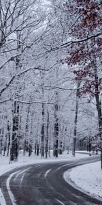 Naturaleza,Árboles,Nieve,Turno,Invierno,Camino,Giro