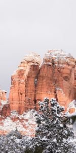 Winter,Trees,Snow,Rocks,Nature,Canyon