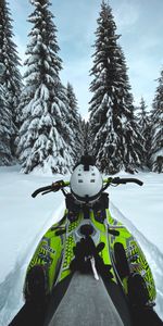 Winter,Trees,Snow,Snowmobile,Sports