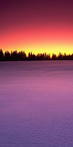 Winter,Trees,Sunset,Snow,Landscape