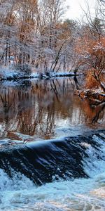 Invierno,Fluir,Umbral,Naturaleza,Árboles,Flujo,Ríos