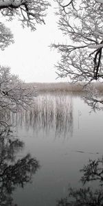 Вода,Деревья,Пейзаж,Озера,Зима