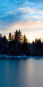 Winter,Water,Trees,Sky,Landscape