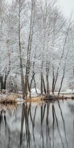 Winter,Water,Trees,Snow,Lake,Reflection,Nature