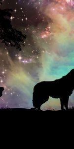 Wolf,Starry Sky,Silhouette,Art,Dark