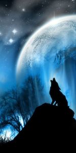 Wolfs,Planets,Animals,Sky,Landscape