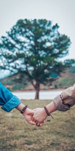 Wood,Pair,Tree,Blur,Smooth,Hands,Tenderness,Couple,Love