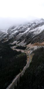 Nature,Bois,Route,Enroulement,Sinueux,Forêt,En Bois,Montagnes