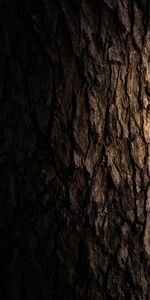 Wood,Tree,Bark,Dark,Texture,Wooden,Textures