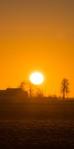 Sol,Horizonte,Madera,Niebla,Subir,Naturaleza,Amanecer,Árbol