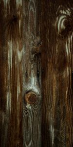 Bois,Arbre,Texture,Planches,En Bois,Textures,Mur,Planche