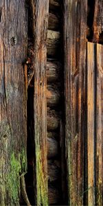 Wood,Tree,Sheathing,Planks,Board,Dampness,Nature,Wall