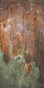 Aboyer,Bois,Arbre,En Bois,Textures,Surface,Écorce,Texture