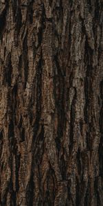 Wood,Tree,Texture,Relief,Bark,Textures,Brown