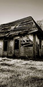 Bois,Se Ruiner,Nature,En Bois,Ruines,Loger,Maison,Noir Et Blanc