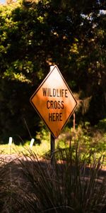 Words,Wildlife,Inscription,Nature,Sign