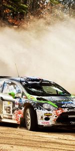 Noyaux,Saleté,Épreuve De Force,Showdown,2012,Ford Fiesta,Poussière,Wrc,Rassemblement,Dérive,Dériver,Sport