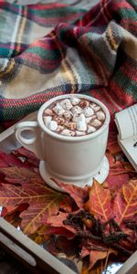 Zephyr,Cocoa,Plaid,Book,Marshmallow,Autumn,Food