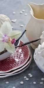 Zephyr,Food,Tablewares,Marshmallow,Orchid