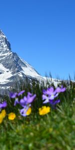 Zermatt,Alps,Matterhorn,Mountains,Switzerland,Nature