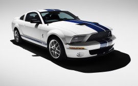 2007 Ford Shelby GT500 White