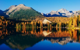 Beautiful Lake Scenery
