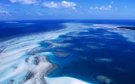 Coral Reef Australia