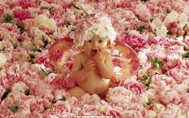 Cute Baby in Flowers