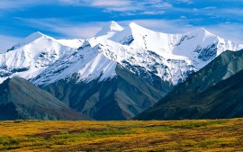 Denali National Park  Alaska