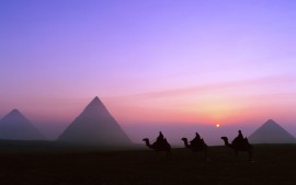Egypt Nights