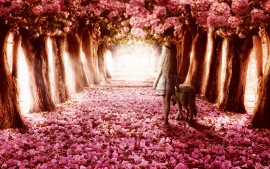 Flower Path