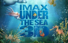 IMAX Under The Sea (4)