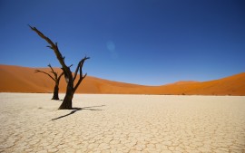 Namib Coastal Desert 4K