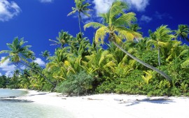 Palm Beach Solomon Islands